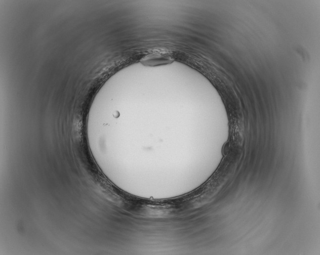 X0000111130556200907281053