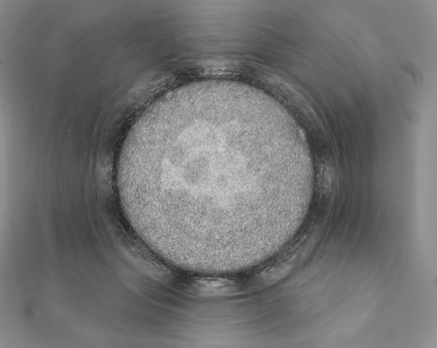 X0000111130557200907281053