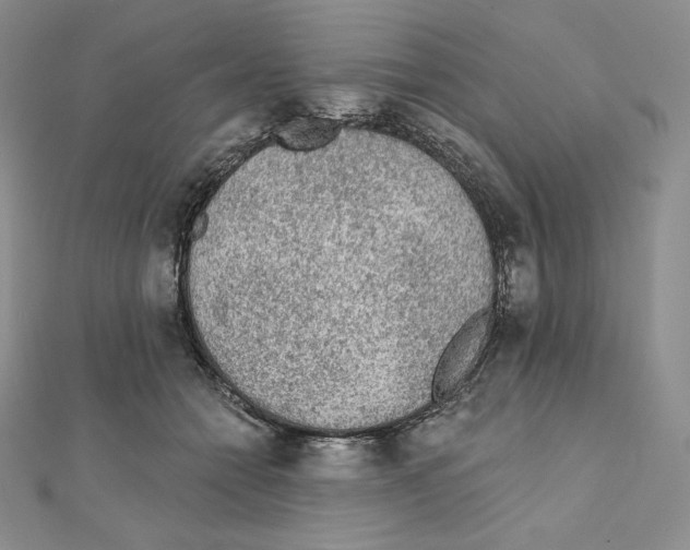X0000111130558200907281053