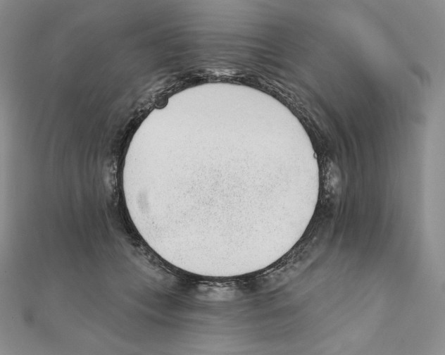 X0000111130559200907281053
