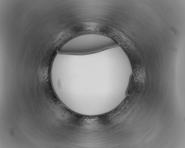 X0000111130560200907281053
