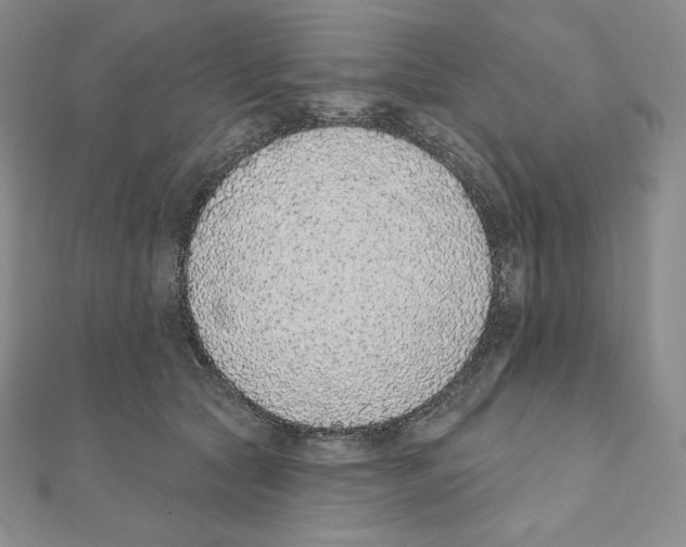 X0000111130561200907281053