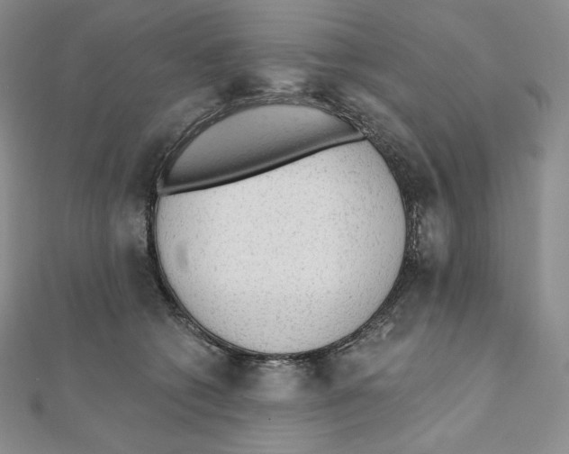 X0000111130562200907281053