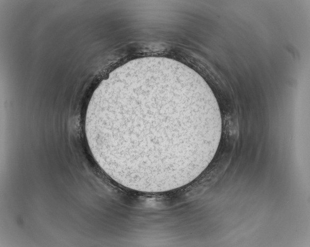 X0000111130564200907281053