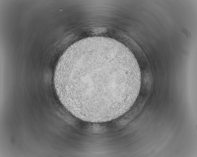 X0000111130565200907281053
