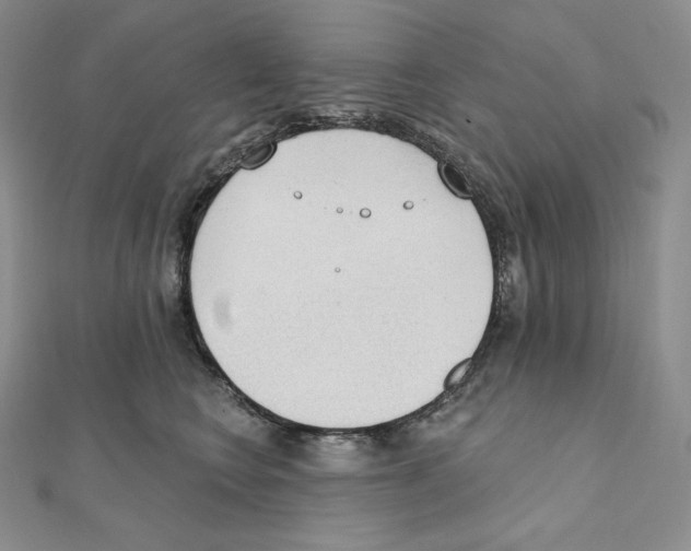 X0000111130566200907281053