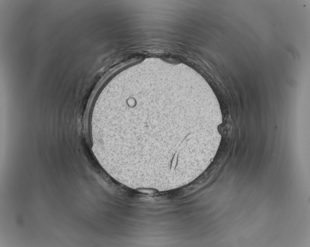 X0000111130568200907281053