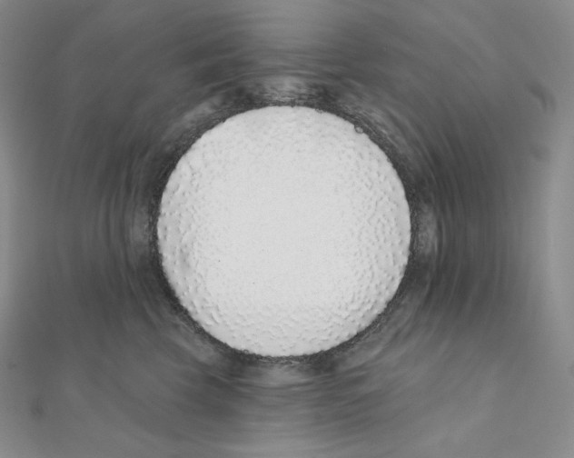 X0000111130569200907281053