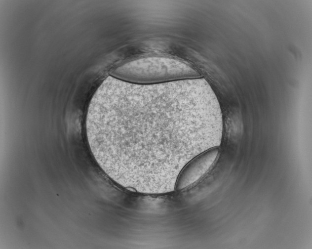 X0000111130570200907281053