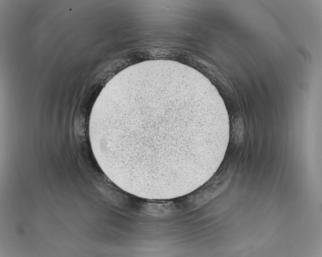 X0000111130571200907281053