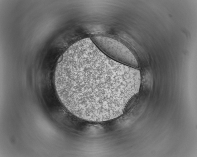 X0000111130572200907281053