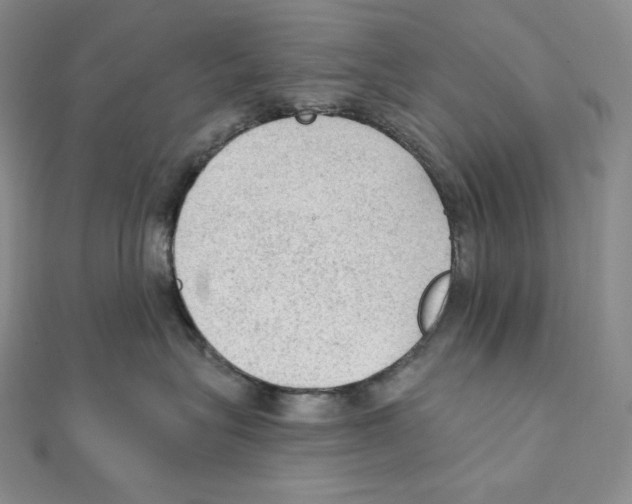 X0000111130575200907281053