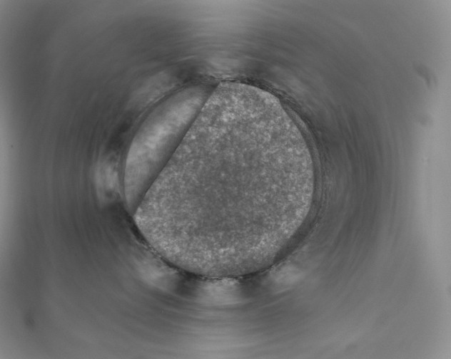 X0000111130576200907281053