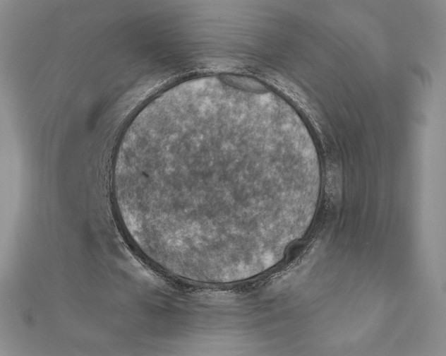 X0000111130577200907281053