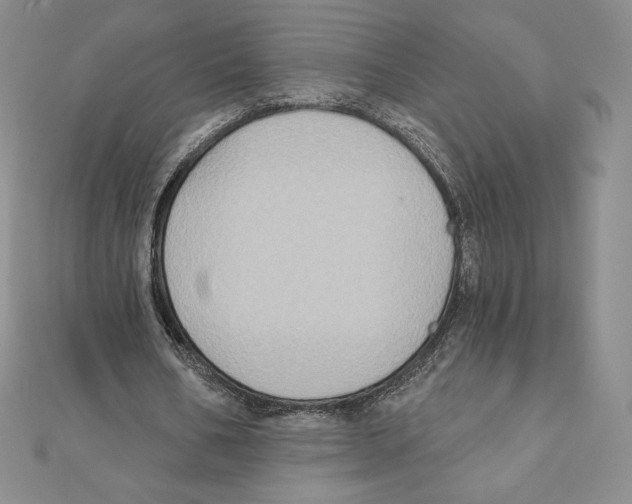 X0000111130578200907281053
