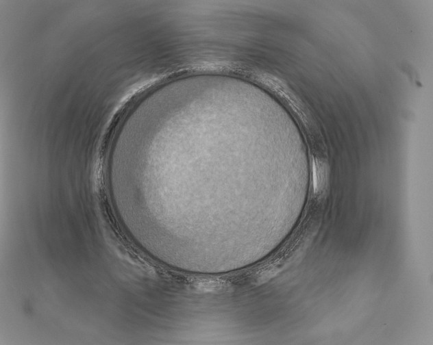 X0000111130579200907281053