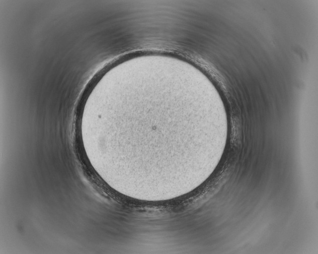 X0000111130580200907281053