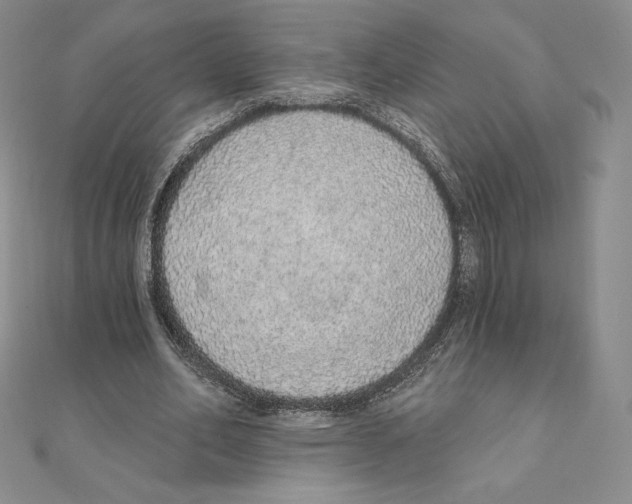 X0000111130582200907281053