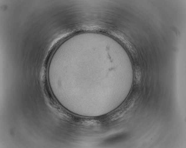 X0000111130583200907281053