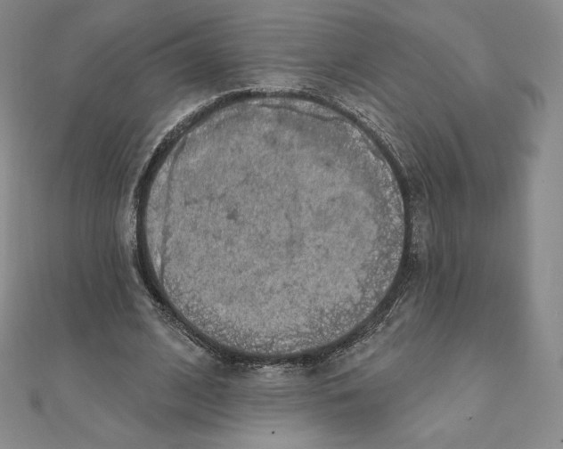 X0000111130584200907281053