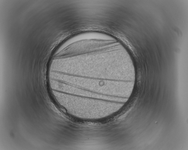 X0000111130585200907281053
