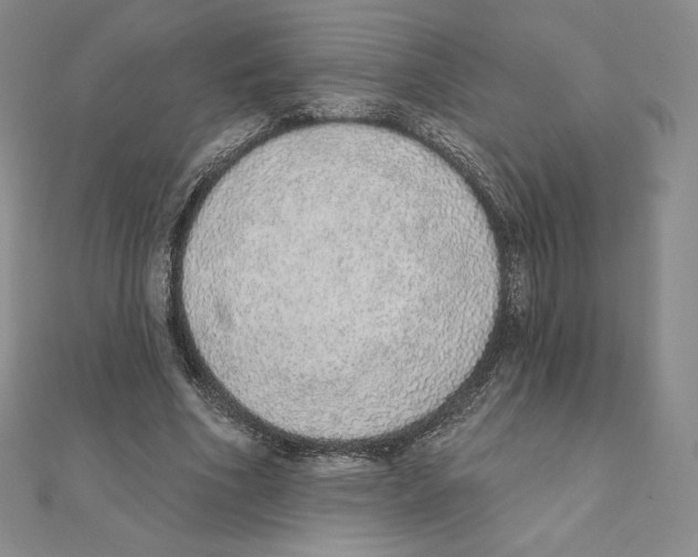 X0000111130586200907281053