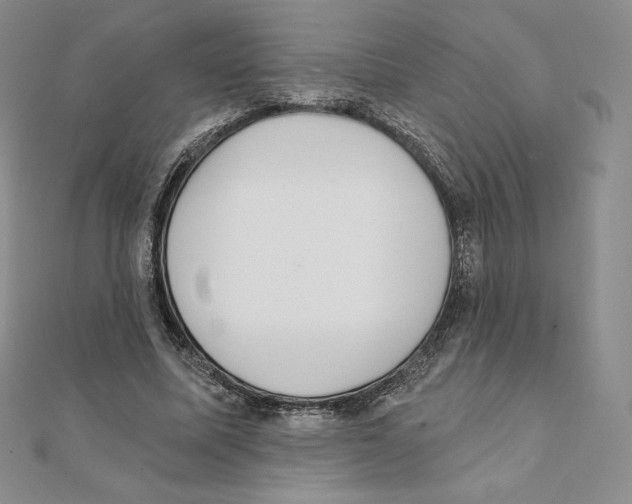 X0000111130587200907281053