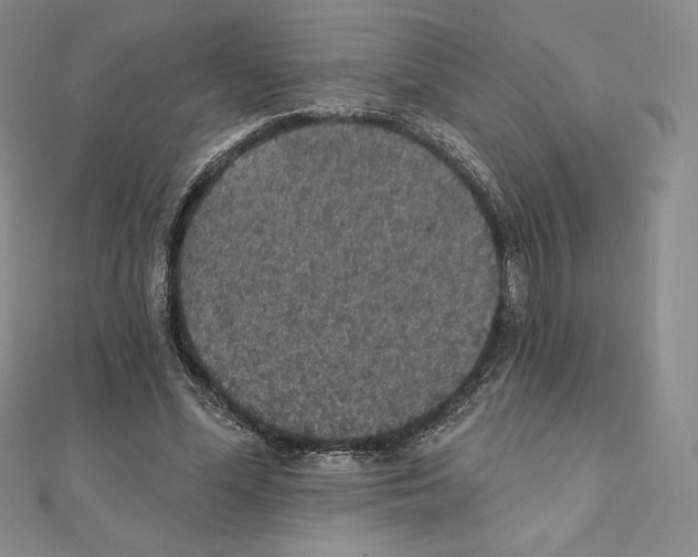 X0000111130588200907281053