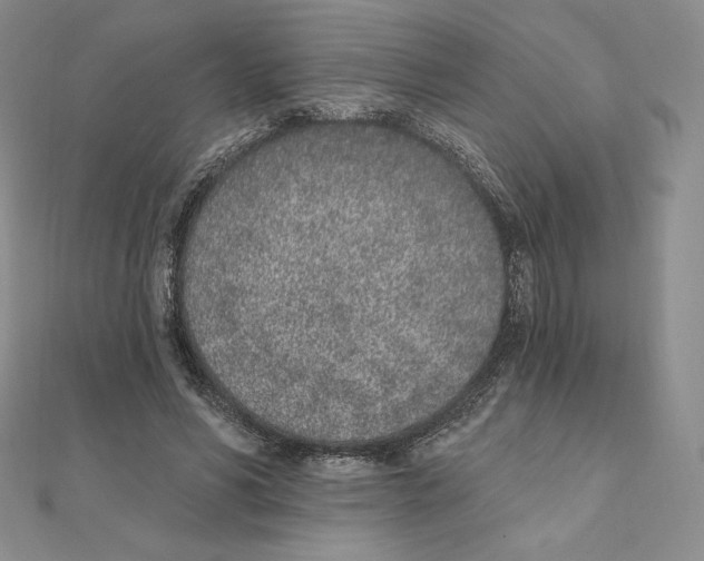 X0000111130590200907281052