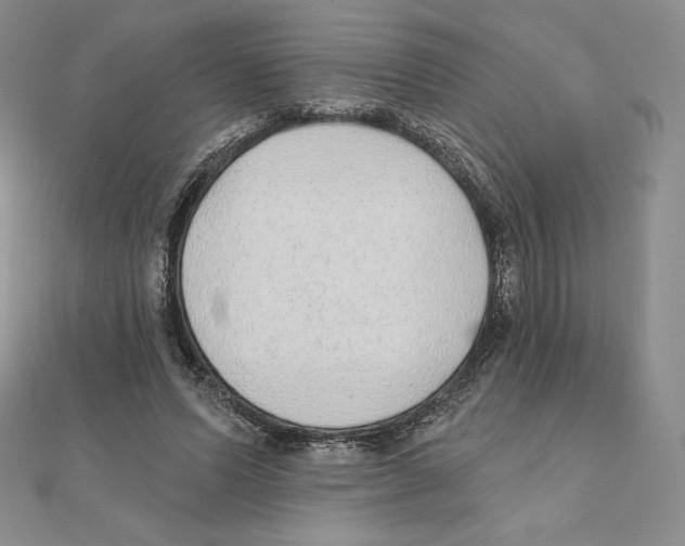 X0000111130591200907281052
