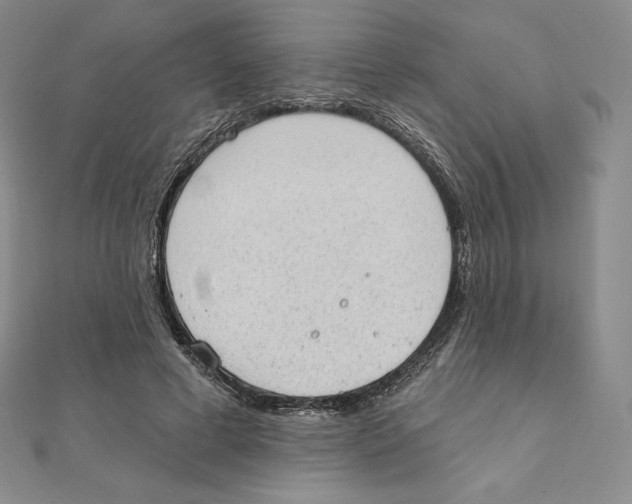 X0000111130593200907281052