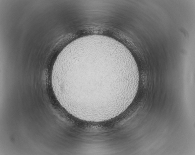X0000111130594200907281052