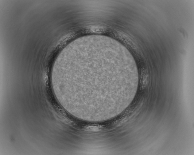 X0000111130595200907281052