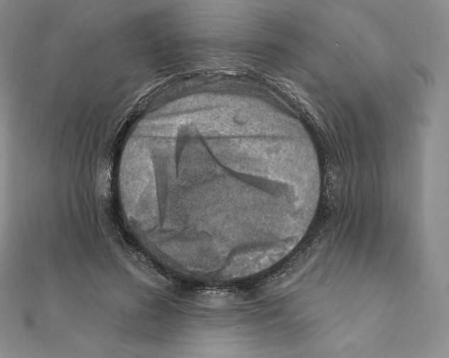 X0000111130596200907281052