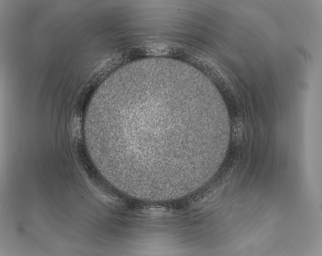 X0000111130598200907281052