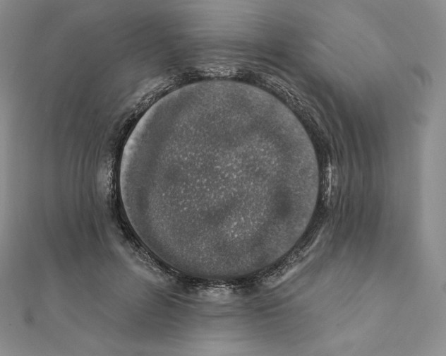 X0000111130600200907281052