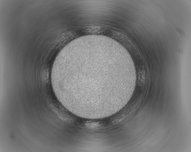 X0000111130602200907281052