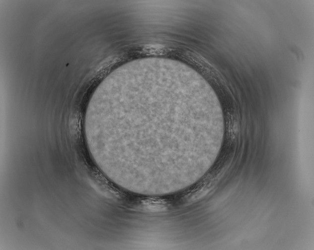 X0000111130603200907281052