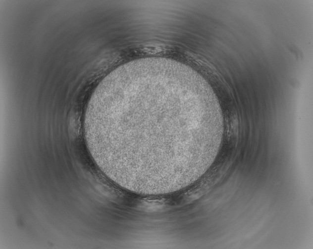 X0000111130606200907281052