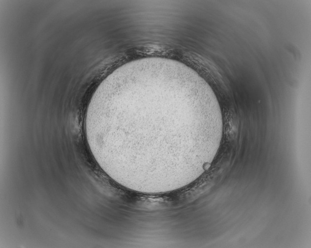 X0000111130607200907281052