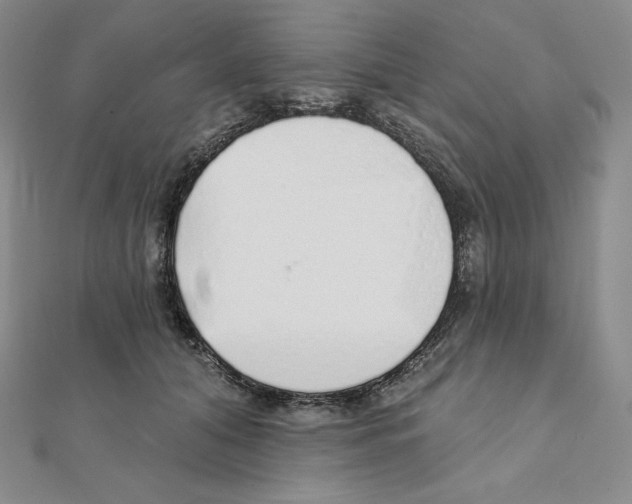 X0000111130608200907281052