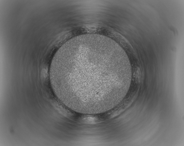 X0000111130610200907281052