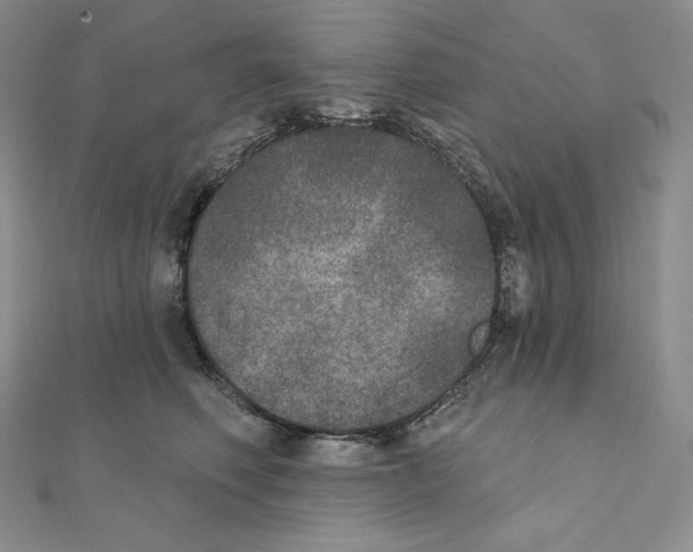 X0000111130614200907281052