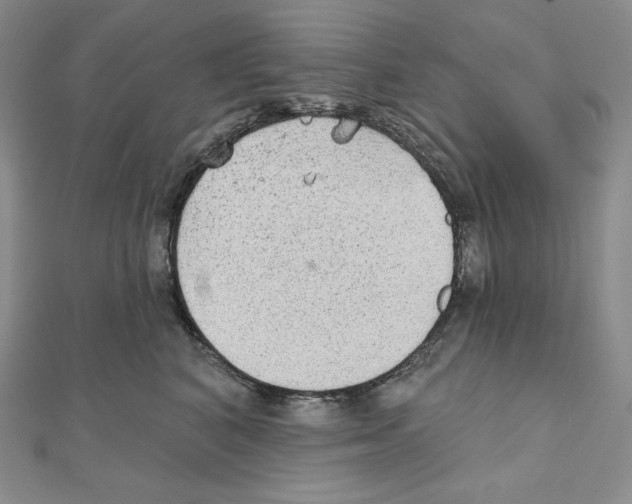 X0000111130616200907281052