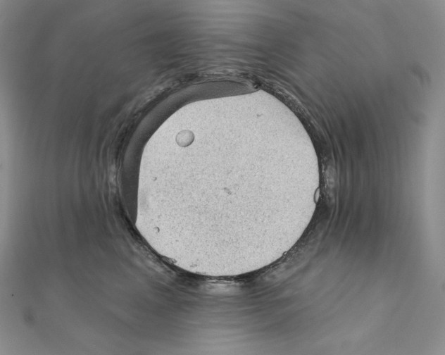 X0000111130617200907281052