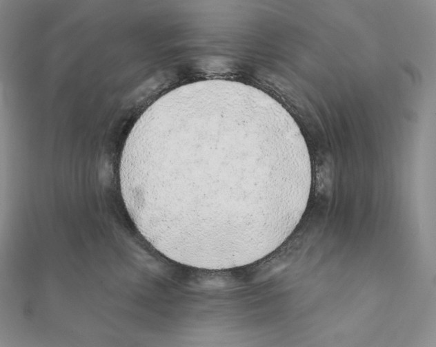 X0000111130618200907281052