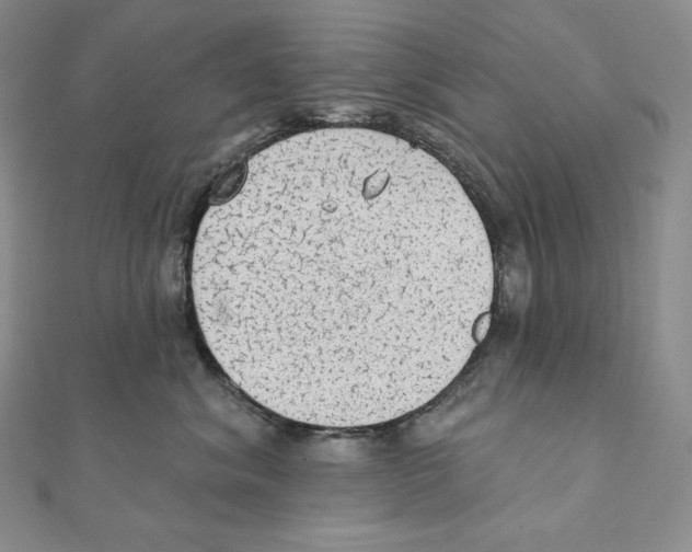 X0000111130620200907281052