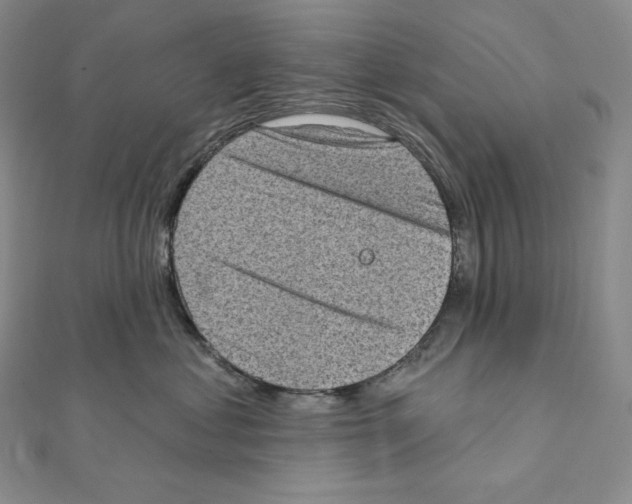 X0000111130621200907281052