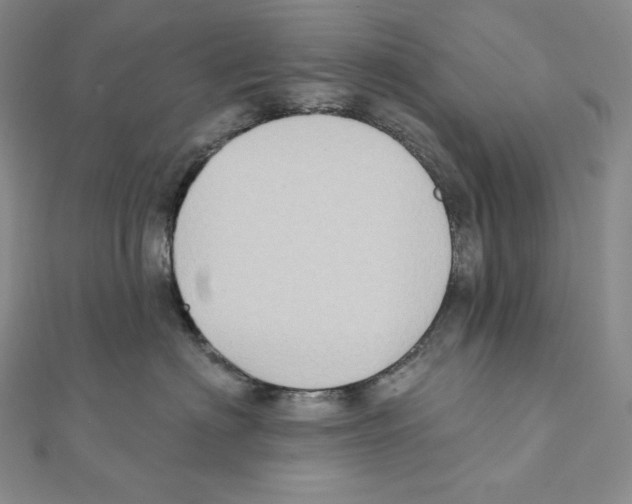 X0000111130622200907281052