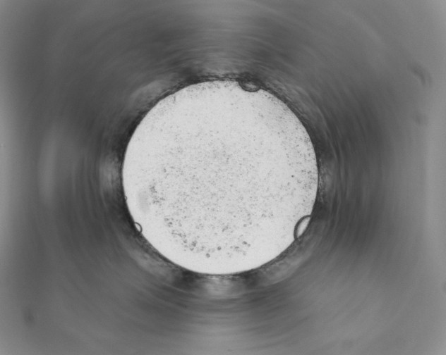 X0000111130623200907281052